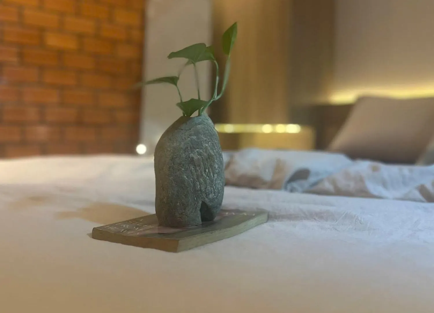 Tom'S House 270 Bed & Breakfast Ho Chi Minh City 0*,  Vietnam